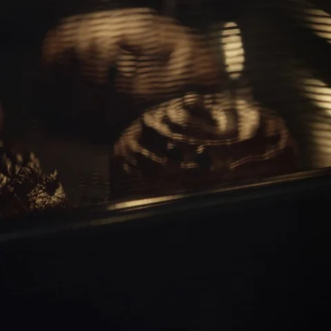 Baking Buns with Raisins Stock Footage 69293209