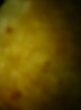 Baking dough photo with different elements Foto stock