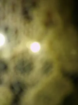 Baking dough photo with different elements Foto stock