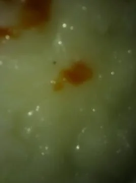 Baking dough photo with different elements Foto stock