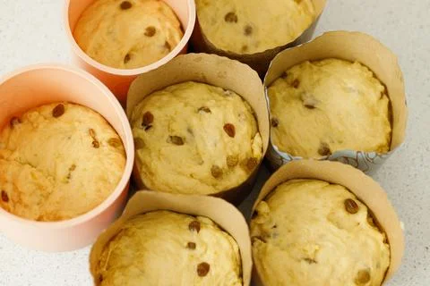 Baking easter traditional bread. Raw dough in baking forms for making homem.. Stock Photos