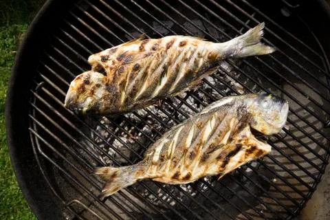 Baking fish barbecued outside. Stock Photos