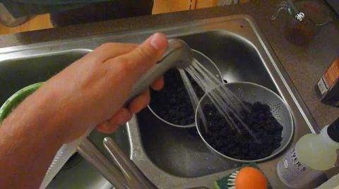 Baking Fresh Blackberry Pie Stock Footage 815804