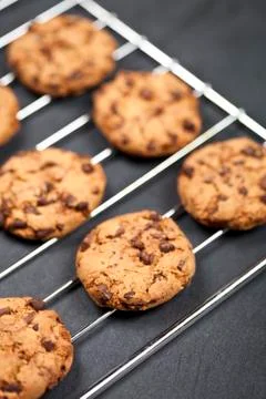 Baking grid with chokolate cookies. Stock Photos