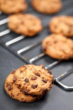 Baking grid with chokolate cookies. Stock Photos