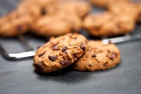 Baking grid with chokolate cookies. Stock Photos