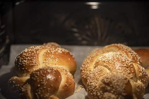 Baking homemade challah bread. Braid challah with sesame seeds on a baking sheet Stock Photos
