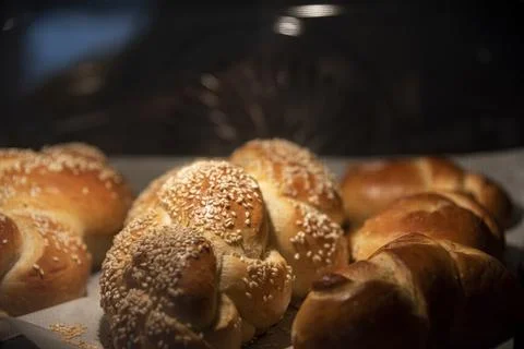 Baking homemade challah bread. Braid challah with sesame seeds on a baking sheet Stock Photos