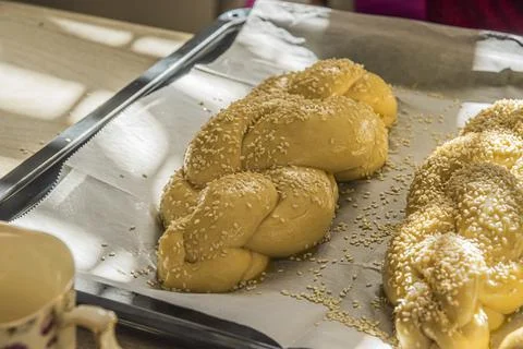 Baking homemade challah bread. A braid with sesame seeds in a pan before baking Stock Photos