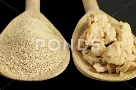 Baking ingredient yeast powder and fresh yeast Stock Photos