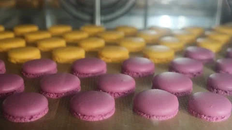 Baking macarons in the roll for pastries. Stock Footage 148659750