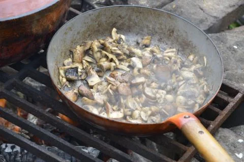 Baking mushrooms outside Stock Photos