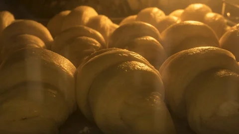 Baking process of croissants in oven Stock Footage 119713238