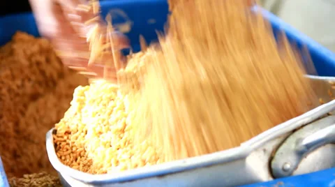 Baking rolls Stock-Footage 33464383