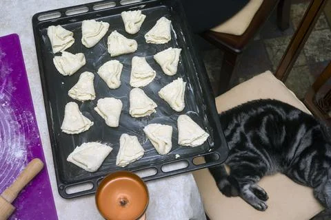 Baking sheet and cat 写真素材
