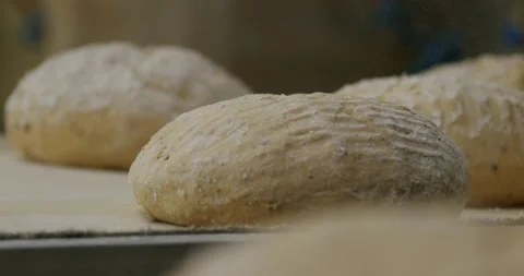 Baking sourdough bread at a bakery 4K. Stock Footage 221565012