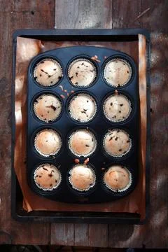 Baking tray with muffins Stock Photos