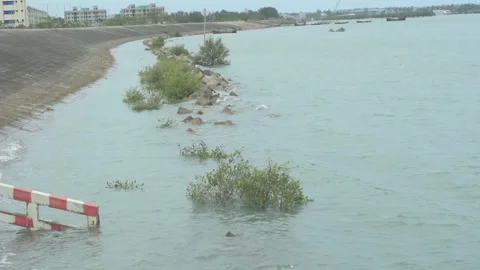 Bakkhali River High Tide Coastal Life Bangladesh Видео 333843045