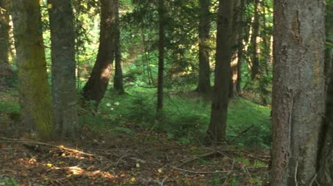 Bakuriani1 Stockbeeldmateriaal 21877531