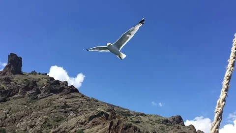 Balaclava Crimea Video stock 102271176