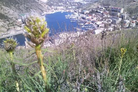 Balaclava Stock Photos