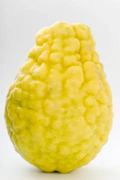 Balady citron 스톡 사진