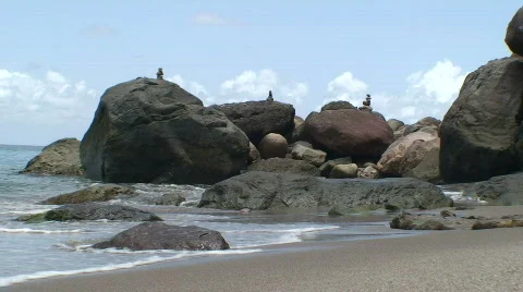 Balance Beach  Stock Footage 419144