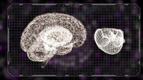 Balance between brain and heart. Animation of heart and brain in gridded frame Vídeo Stock 124643745