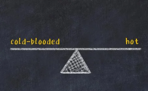 Balance between cold-blooded and hot. Chalkboard drawing on black chalkboard Stock Photos