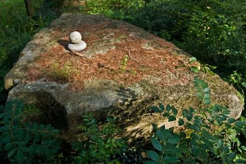 Balance Stock Photos