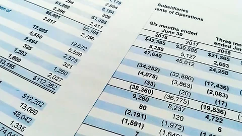 Balance sheet of financial statement, analysis of business plan for stockholders Stock Footage 109950291