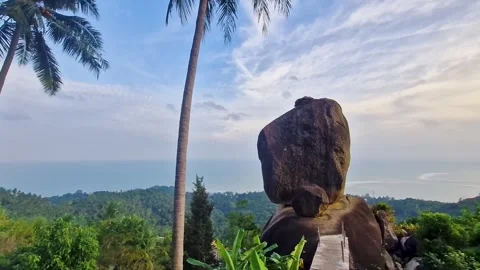 Balanced Boulder &amp; Palm Trees Overlooking Turquoise Sea &amp; Forested Coast Stock Footage 318241895