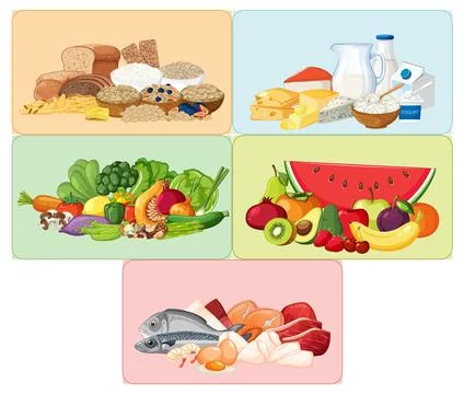 Balanced Food Groups Vector Illustration for Healthy Diet Stock Illustration