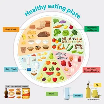 Balanced Healthy Eating Plate Vector Infographic Illustration Stock Illustration