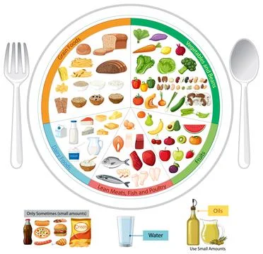 Balanced Plate Vector Guide for Healthy Food Choices Stock Illustration