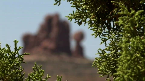 Balanced Rock Rack Focus-Arches National Park Stock Footage