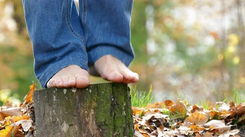 Balancing on a tree stump Stock Footage 56729366