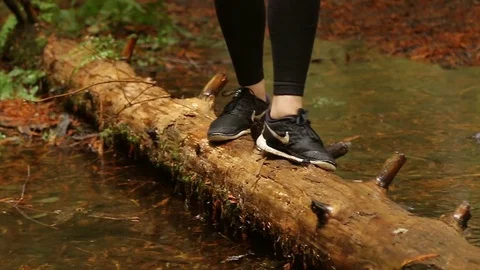 Balancing on a tree trunk Stock Footage 72189534