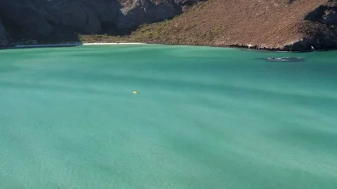 Balandra beach aerial drone view Stock Footage 272481252