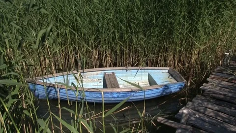 Balaton lake, Hungary Stock Footage 100879565