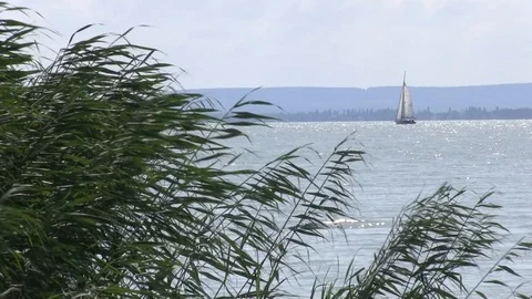 Balaton lake, Hungary Stock Footage 100880133