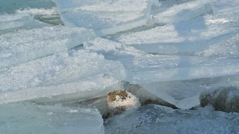 Balaton lake in winter Video stock 326321556