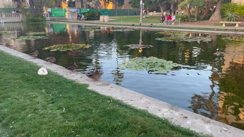 Balboa Park Stock Footage 202421195