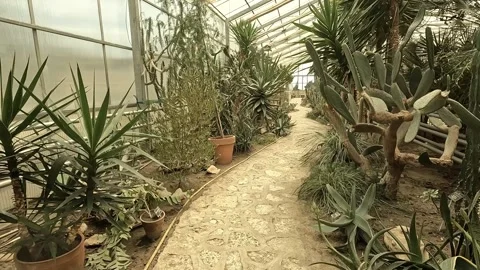 Balchik UNIVERSITY BOTANIC GARDEN Stock Footage 307906314