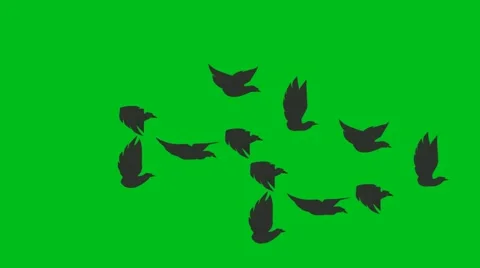 Balck Birds Fly - Animation - Hand-Drawn - Green Screen - Loop Stock Footage