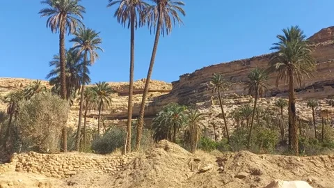 Balconies of Ghoufi Stock Footage 228692295