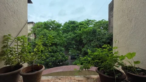 The balcony features a flower pot, offering a scenic view Stock Footage 287852945