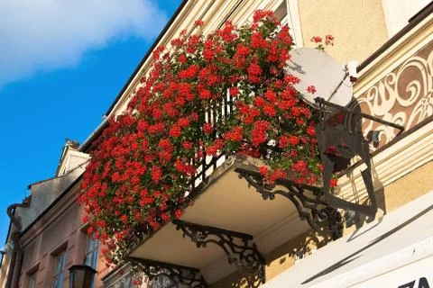 Balcony with flowers Geranium Stock Photos