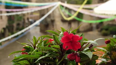 Balcony with flowers in a town square during the rainy season. Stock Footage 315903995