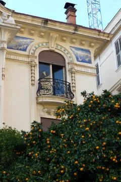 A balcony with an orange tree in front of it Stock Photos